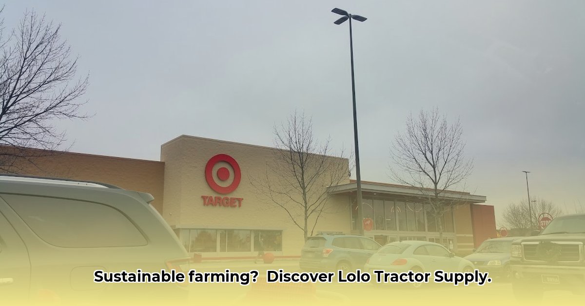 lolo-tractor-supply
